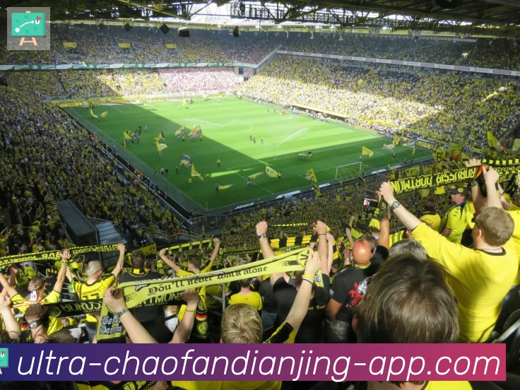 App 展示图